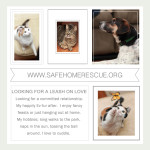 Rescue SquareA